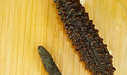 海参的吃法与做法视频,多样吃法与制作技巧大揭秘